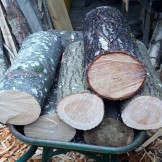 Log to Stool (1 day course)