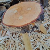 Handcrafted Silver Birch Stool with Ash  Legs