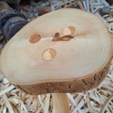 Handcrafted Ash Stool with Willow Legs