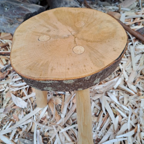 Handcrafted Sycamore Stool with Ash Legs