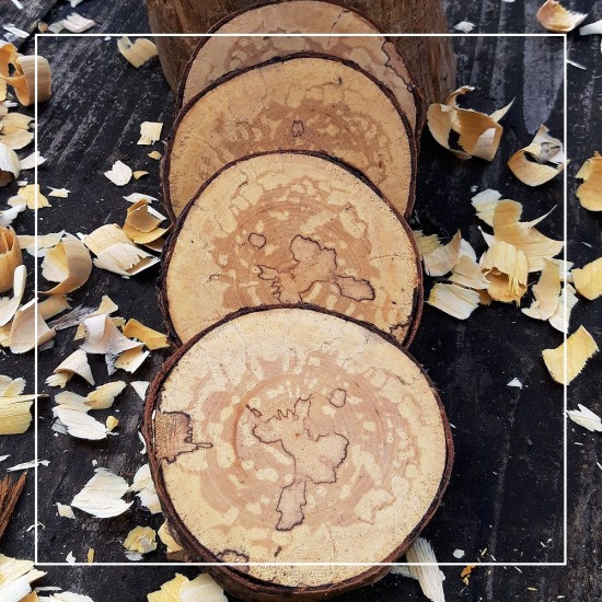 *SIGNATURE RANGE* Set of 4 Spalted Grain Natural Wooden Coasters